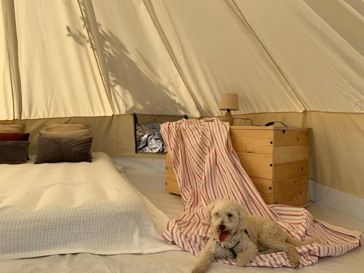 Bigova Glamping Hotel Kotor Bagian luar foto